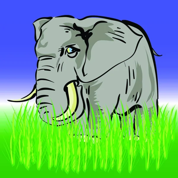Ilustração Colorida Com Elefante Para Seu Design —  Vetores de Stock