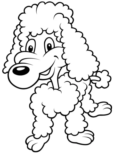 Poodle Black White Cartoon Illustration Vector — Stock Vector