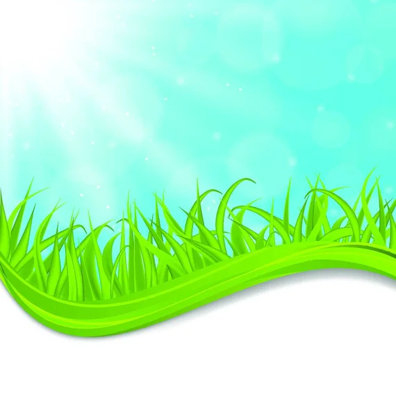 Ilustração Primavera Cartão Natural Com Grama Verde Vetor —  Vetores de Stock