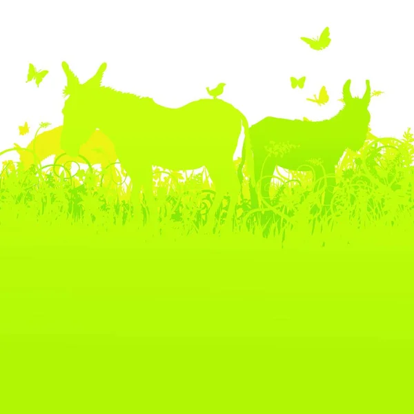 Drei Esel Auf Der Sommerwiese — Stockvektor