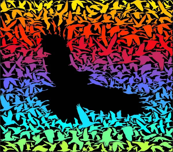 Многие Птицы Летят Черном Фоне Создает Радужный Силуэт Птиц Хищников — стоковый вектор