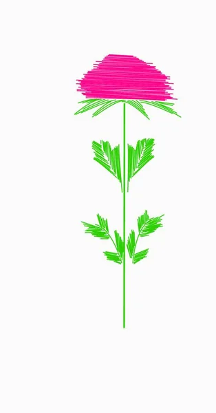 Floral Flower Vector Illustration — Stock Vector