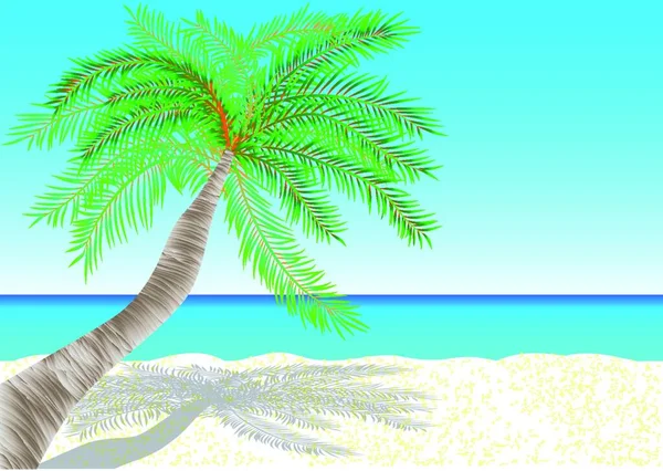 Bahamas Spiaggia Tropicale Sabbia Bianca Eps — Vettoriale Stock