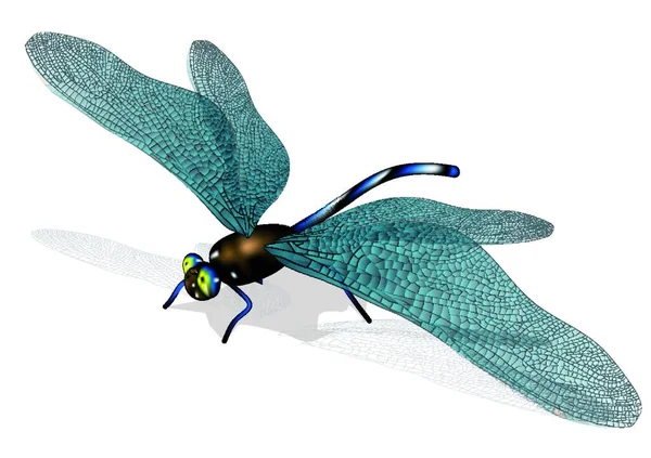 Dragonfly Izolovaných Bílém Pozadí Eps — Stockový vektor