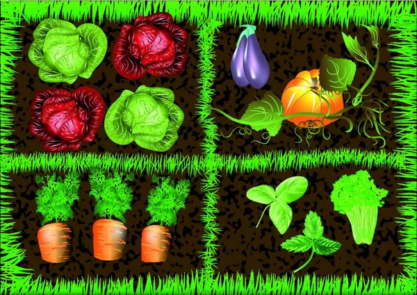 Овочевий Сад Eps Використовуючи Градієнт Сітки — стоковий вектор