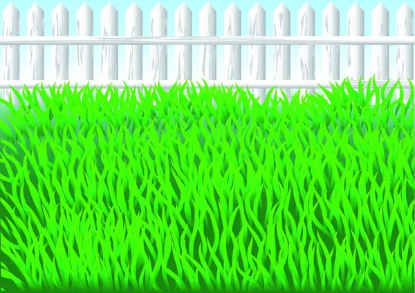 花园的草和白色的篱笆 Eps — 图库矢量图片