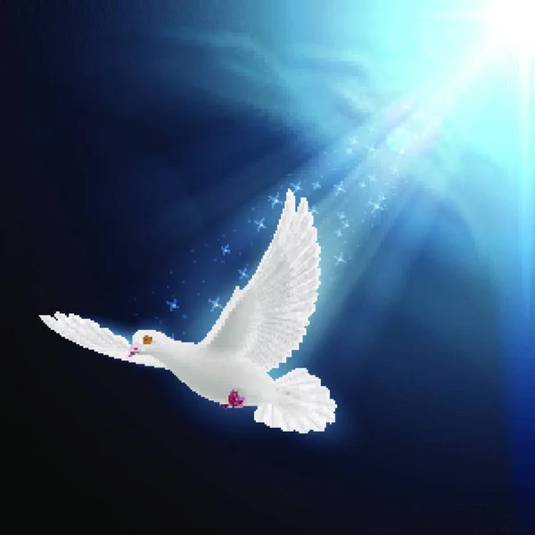 Vit Duva Flyger Solljus Mot Mörkblå Himmel Fredens Symbol — Stock vektor