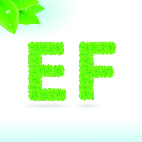 Sans Serif Fonte Com Decoração Folha Verde Sobre Fundo Branco — Vetor de Stock