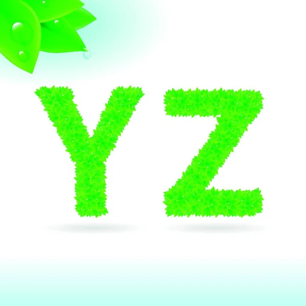 Sans Serif Font Green Leaf Decoration White Background Letters — Stock Vector