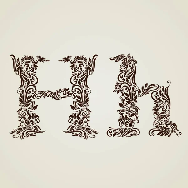 大小写和大写字母H装饰精美 — 图库矢量图片