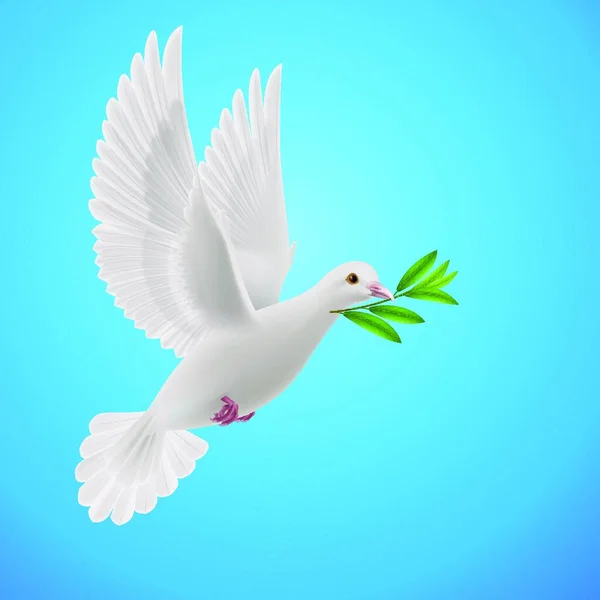 Barış Güvercini Gökyüzünde Yeşil Bir Dal Üzerinde Uçuyor — Stok Vektör