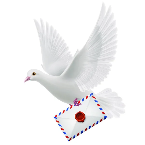 Mouche Pigeon Blanc Avec Courrier Bec — Image vectorielle