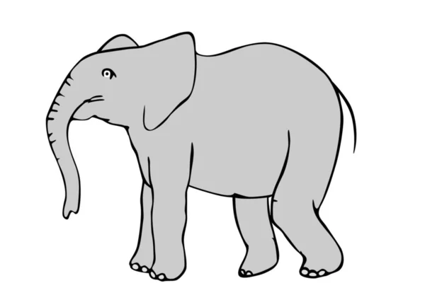Sétáló Elefánt Illusztrációja Vektor — Stock Vector