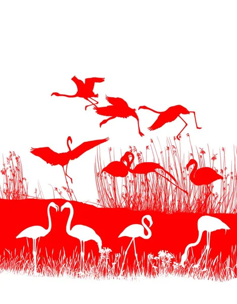Μεμονωμένη Απεικόνιση Ενός Σμήνους Κόκκινων Φλαμίνγκο Στην Ακτή — Διανυσματικό Αρχείο