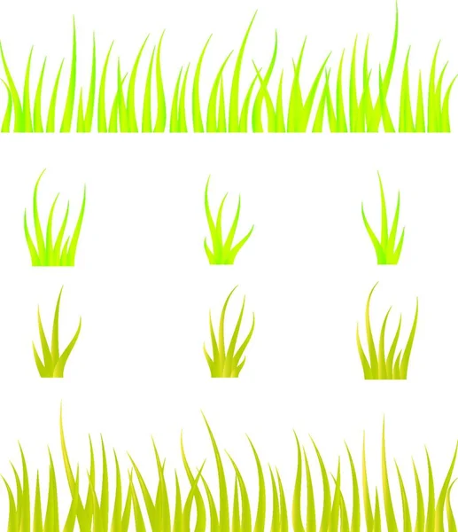 Illustration Vectorielle Une Herbe Verte — Image vectorielle