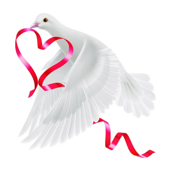 Beyaz Arkaplanda Kırmızı Kurdeleli Güvercin — Stok Vektör