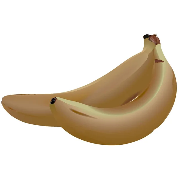 Bananen Gekleurde Illustratie Vector — Stockvector