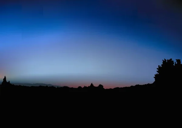 Sonnenaufgang Und Strauchsilhouette Farbige Hintergrundillustration Vektor — Stockvektor