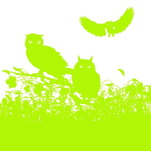 Vue Panoramique Bel Oiseau Nature — Image vectorielle