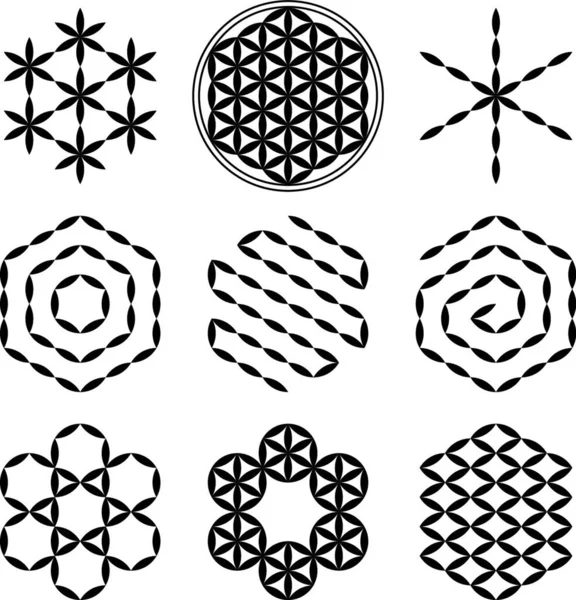 Eight Extracted Patterns Flower Life Spiritual Symbol Sacred Geometry Ancient — Stock Vector