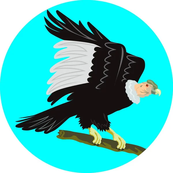 Illustratie Van Een California Condor Zittend Tak Gezien Vanaf Zijkant — Stockvector