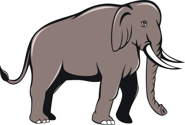 Ilustração Elefante Indiano Com Presas Andando Visto Lado Fundo Branco — Vetor de Stock
