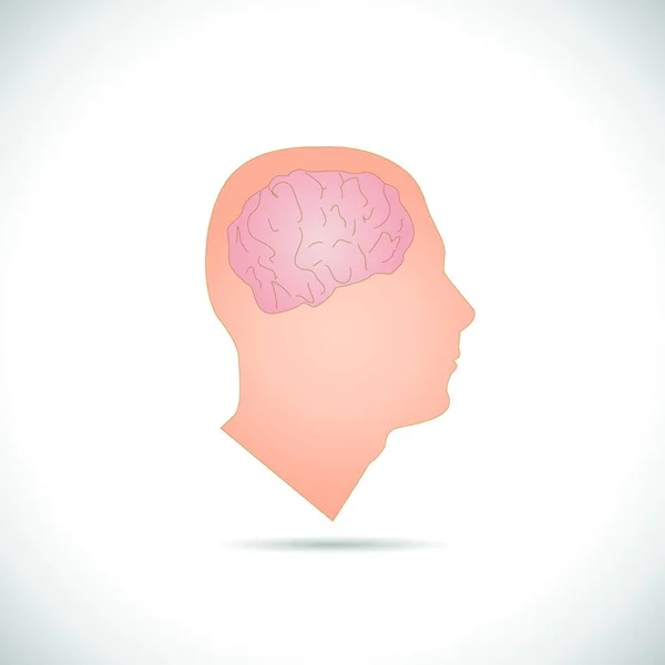 Ilustración Cerebro Dentro Cabeza Hombre Aislado Sobre Fondo Blanco — Vector de stock