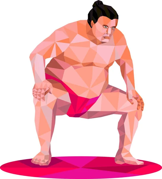Ilustración Polígono Bajo Luchador Japonés Sumo Posición Sentadilla Frente Frente — Vector de stock