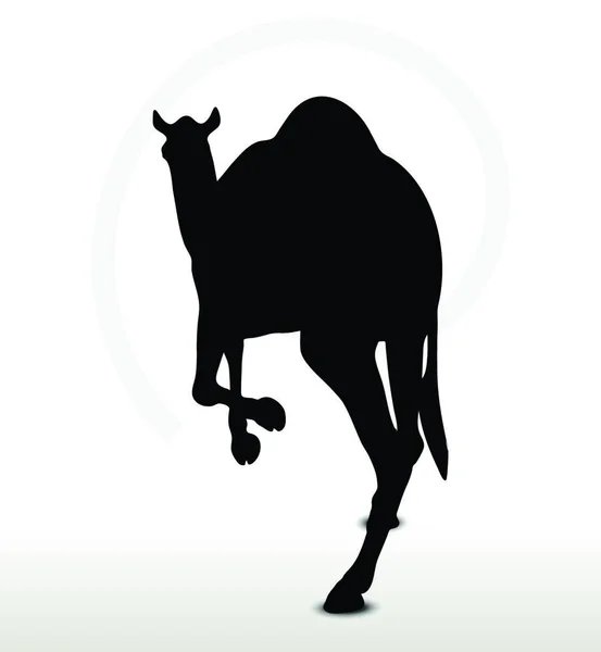 Imagen Vectorial Camello Pose Running Aislado Sobre Fondo Blanco — Vector de stock