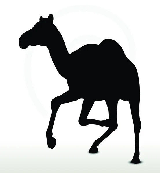 Imagem Vetorial Camelo Execução Pose Isolada Sobre Fundo Branco —  Vetores de Stock
