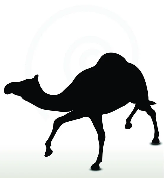 Vector Image Camel Trotting Pose Isolated White Background — Stock Vector