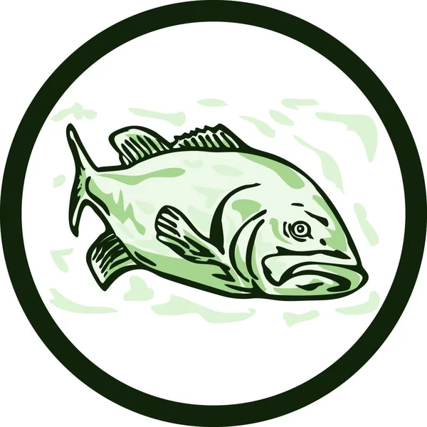 Kaufe Personalisierter Grünbarsch-Fisch, Forellen, flach, 2D