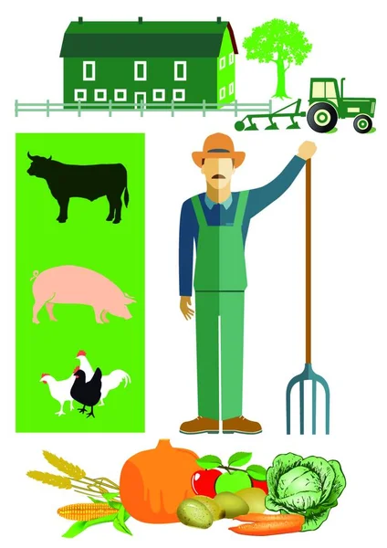 Set Iconos Granja Agricultura Agricultura Tema Ilustración Vectorial — Archivo Imágenes Vectoriales