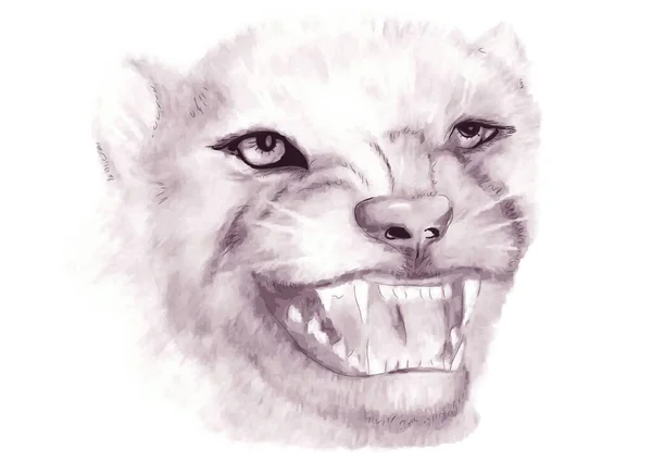 Panther Dalam Cat Air Diisolasi Pada Latar Belakang Putih - Stok Vektor