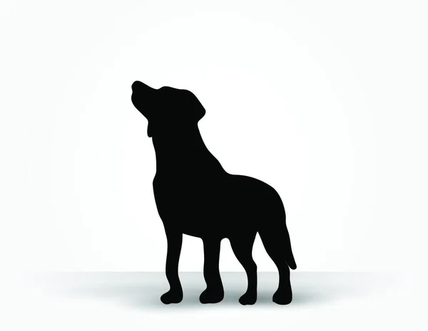Vektor Bild Hund Siluett Som Standard Pose Isolerad Vit Bakgrund — Stock vektor