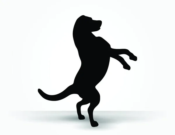 Vektorbild Hundesilhouette Standardpose Isoliert Auf Weißem Hintergrund — Stockvektor