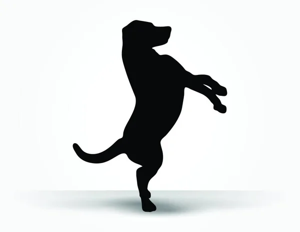 Векторное Изображение Силуэт Собаки Умолчанию Позирует Изолированной Белом Фоне — стоковый вектор