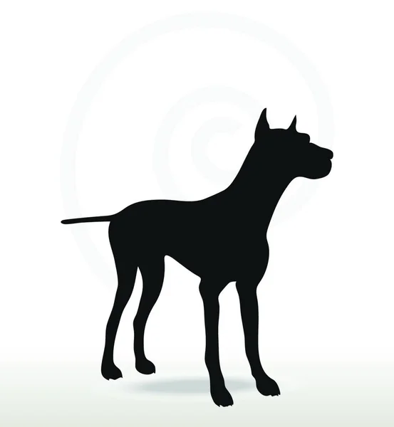 Векторное Изображение Силуэт Собаки Позируют Изолированы Белом Фоне — стоковый вектор