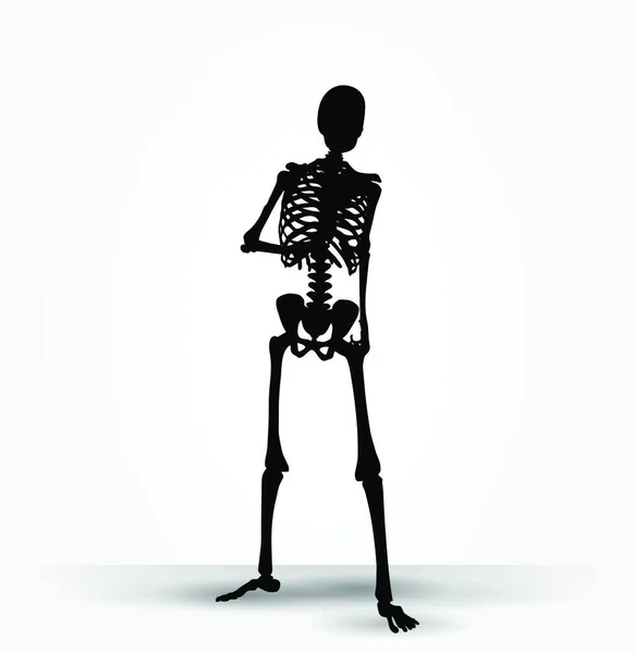 Vektorbild Skelettsilhouette Shuffle Pose Isoliert Auf Weißem Hintergrund — Stockvektor