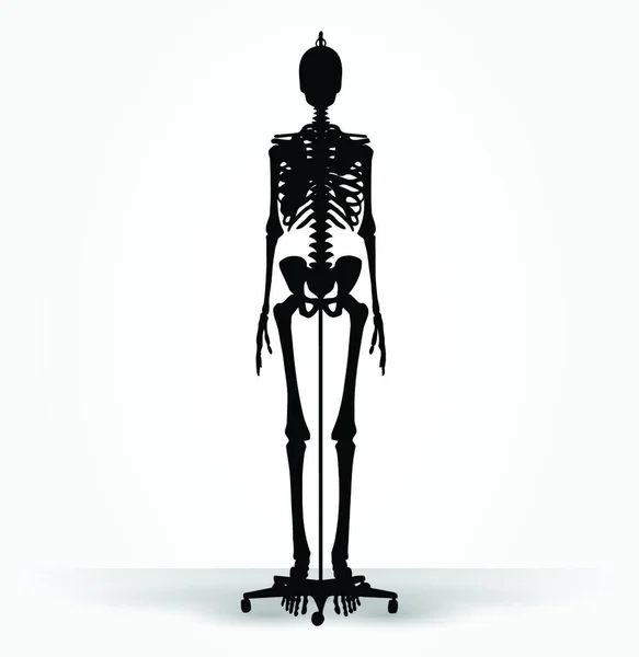 Imagem Vetora Silhueta Esqueleto Pose Padrão Isolada Fundo Branco — Vetor de Stock