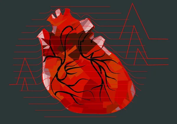 Abstraktní Lidské Srdce Izolované Černém Pozadí — Stockový vektor