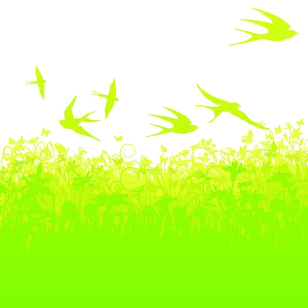 Vista Hermoso Pájaro Naturaleza — Vector de stock