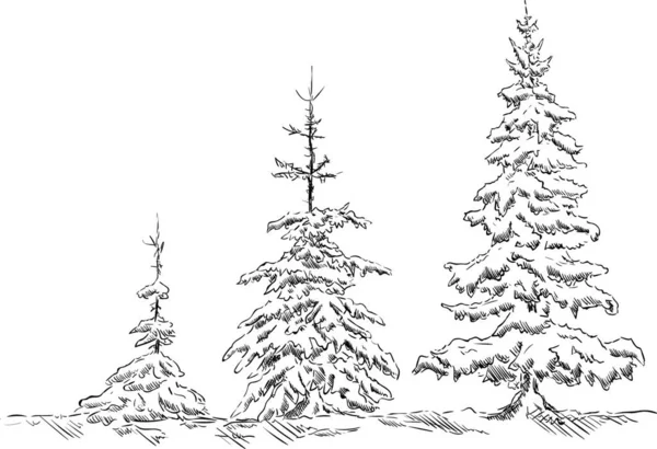 Kış Zamanı Vektör Ladin Ağacı — Stok Vektör