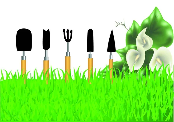 Jardinagem Ferramentas Jardinagem Flores Isoladas Fundo Branco — Vetor de Stock