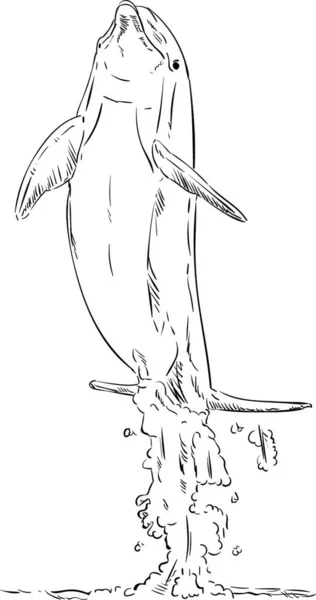 Вектор Дельфины Выпрыгивают Воды — стоковый вектор