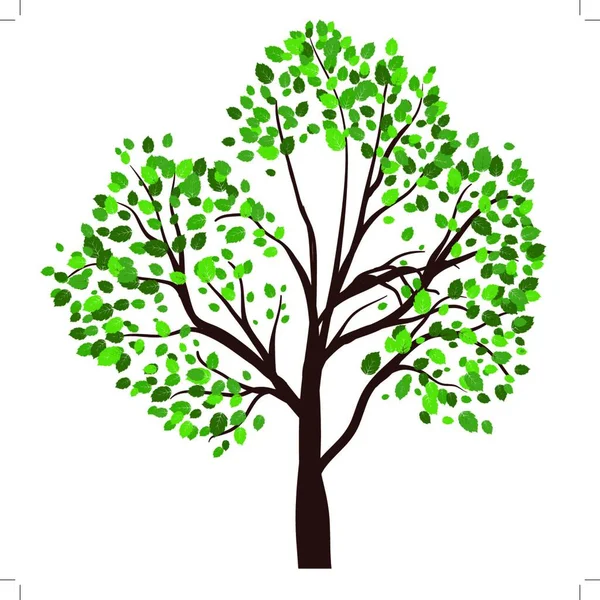 Haschsommaren Träd Med Gröna Blad Eps Vektor Illustration — Stock vektor