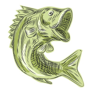 Download Largemouth Bass Fish Etching Free Vector Eps Cdr Ai Svg Vector Illustration Graphic Art