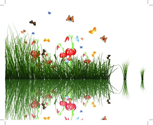 夏の水の反射と草 Eps のベクトル図 — ストックベクタ