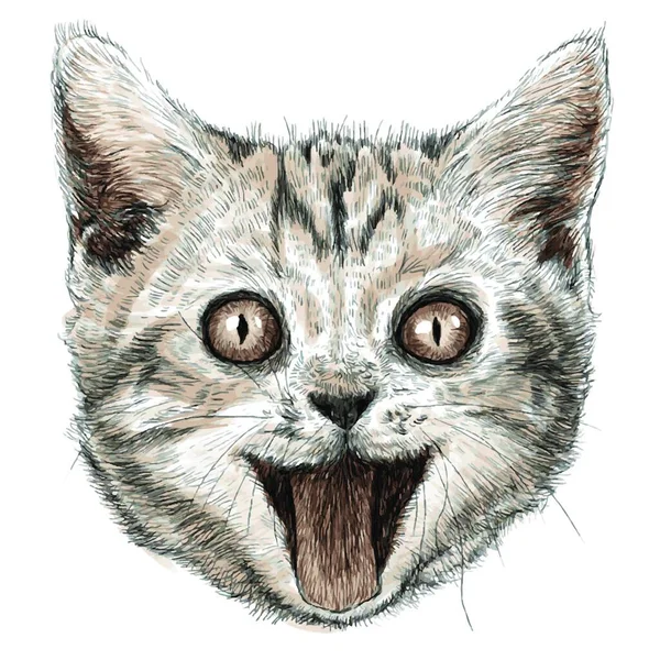 Hlava Usmívající Kočka Ruka Kreslené Izolované Bílém Pozadí — Stockový vektor