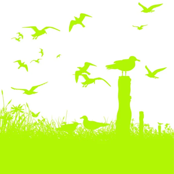 Las Gaviotas Del Lago — Vector de stock